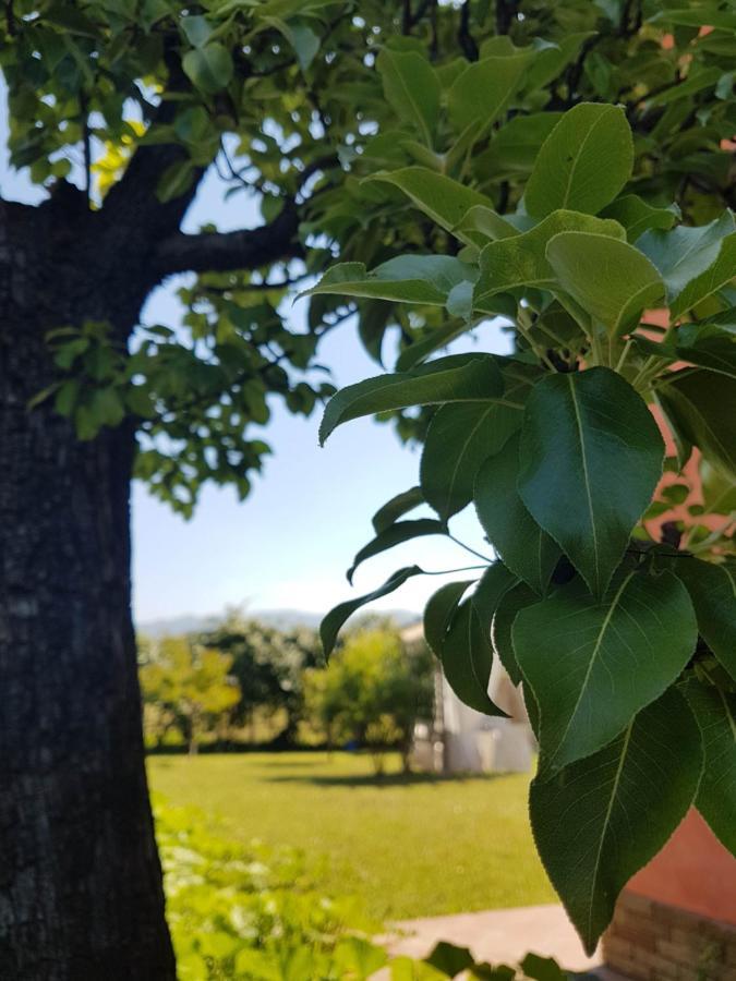 Appartamenti Ca'Melia Sarzana Exterior photo